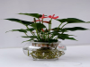 西城區(qū)舉辦首都全民義務(wù)植樹日宣傳活動(dòng)現(xiàn)場培訓(xùn)綠植養(yǎng)護(hù)