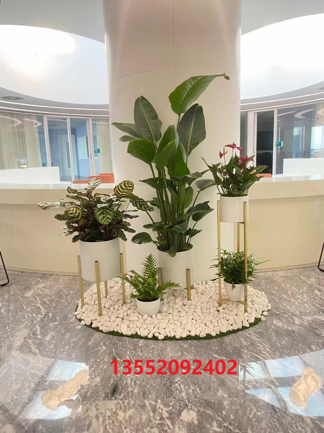 ?綠植租賃公司哪家好？如何選擇綠植租賃公司？
