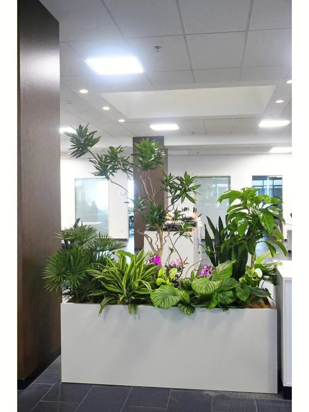 北京世紀(jì)匯通園藝養(yǎng)護(hù)綠植的標(biāo)準(zhǔn)。
