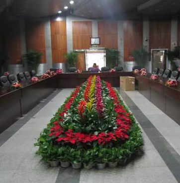 會(huì)議會(huì)場(chǎng)布置臨時(shí)租擺租賃花卉綠植